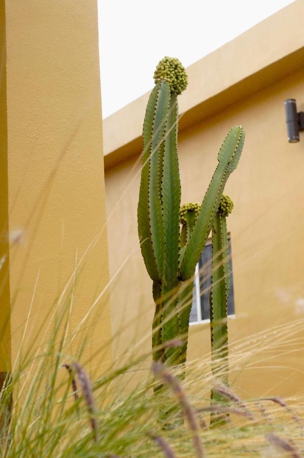 Cozy & Quiet Pet Friendly Studio Ensenada Exterior foto